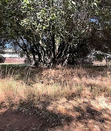 2nd image of 9998 Plumas Ct