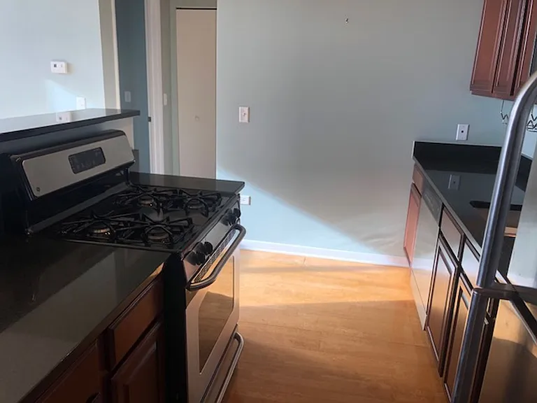 1550 S Blue Island Ave #1211 — Photo 16