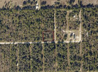 Tbd 220th Path, O Brien, FL 32071