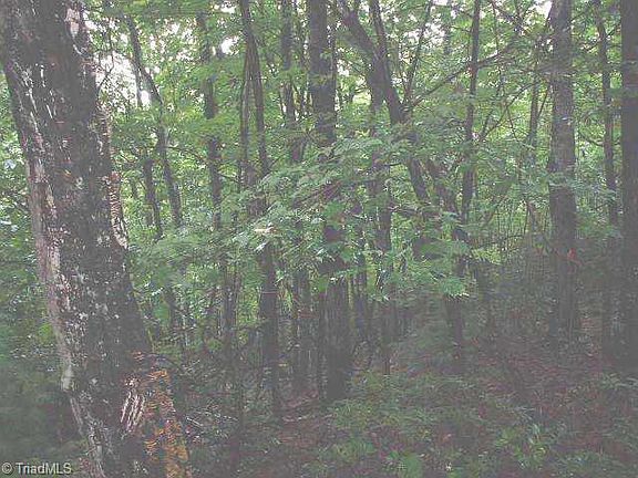 5th image of 0 Hillside Ln