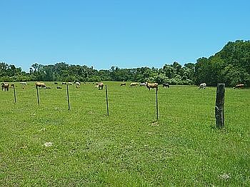 4th image of 1758 Fm 1146