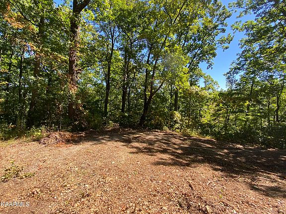 2nd image of Longhunter 66 Ln Lot 64-65-67