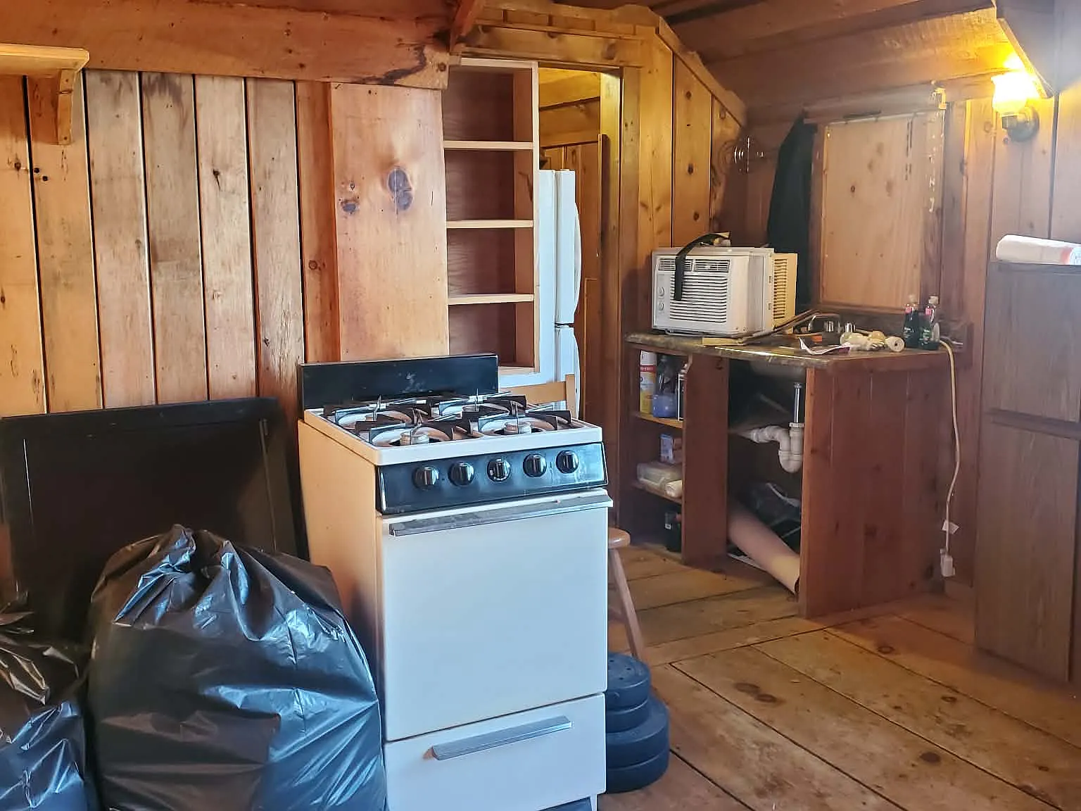 1 bed, $850 — Photo 3