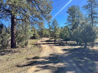 312 Antero Drive, Pagosa Springs, CO, 81147