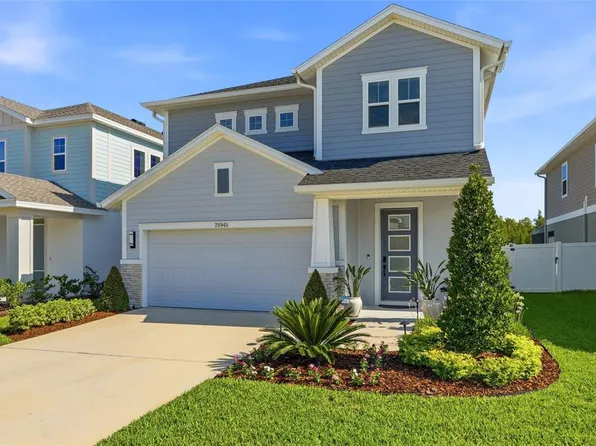 28945 Orange Berry Dr, Wesley Chapel, FL 33543