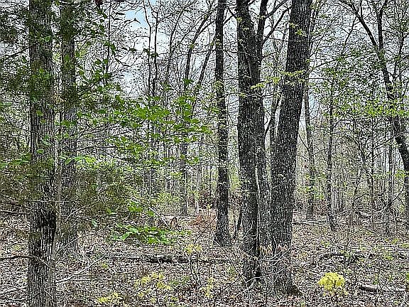 5th image of 0 Stone Ridge Rd