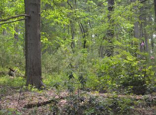 Boones Trail, Pocono pines, PA