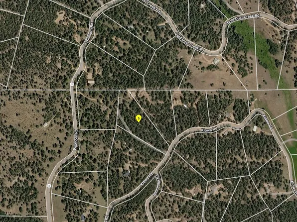 1814 Kiowa Rd, Florissant, CO 80816