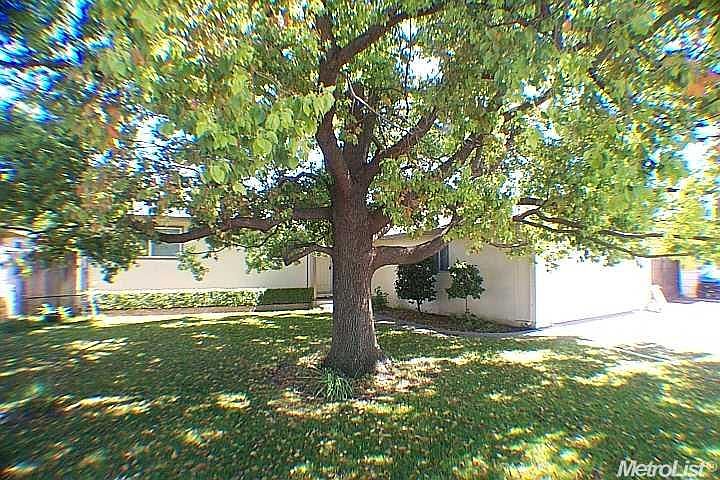 1st image of 19070 Triolo St