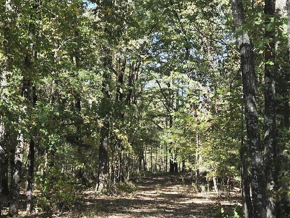 2nd image of 10177 Parks Place Rd
