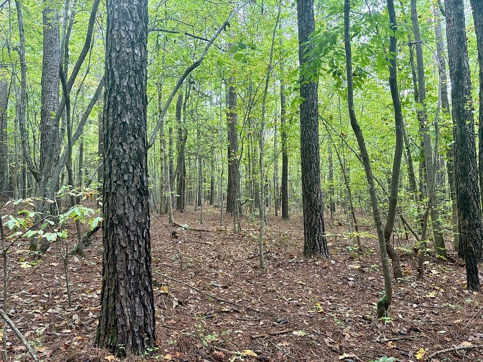 Dry Mountain Tract Gladys, VA