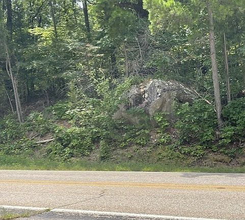 5th image of 309 Highway