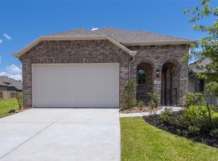 164 Emory Birch Dr, Montgomery, TX 77316