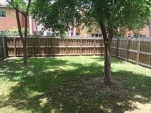 Back yard