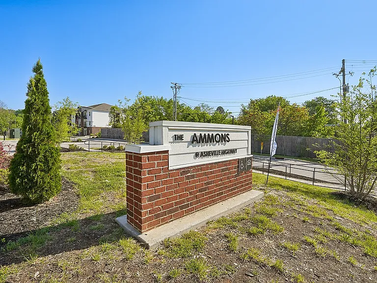 The Ammons at Asheville Highway — Photo 22