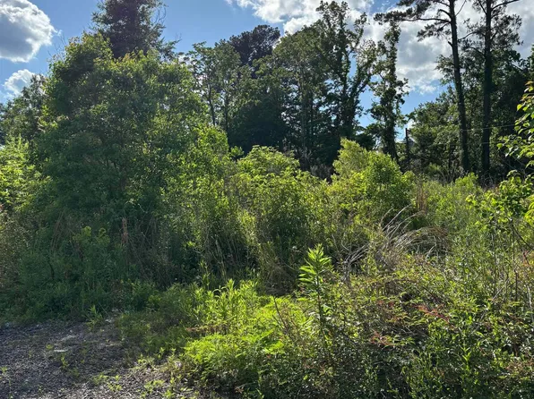 25739 Gill Rd, Denham Springs, LA 70726