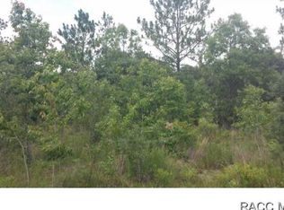 2507 E Steven St, Inverness, FL 34453