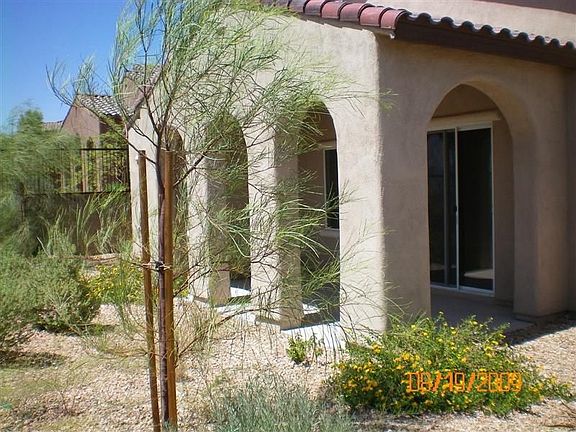 backyard - patio