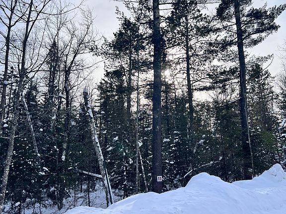 2nd image of 11 Butternut Cir