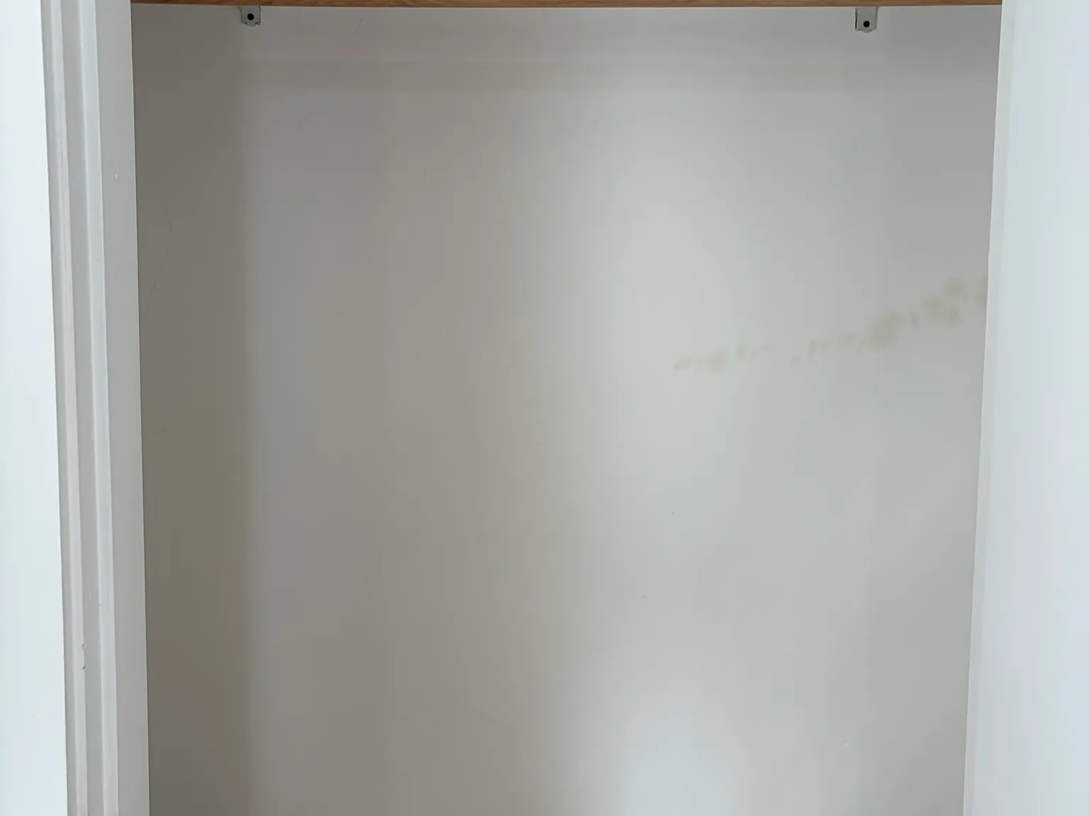 Studio, $875 — Photo 4