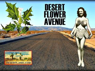 1111 Desert Flower Rd, Twentynine Palms, CA 92277