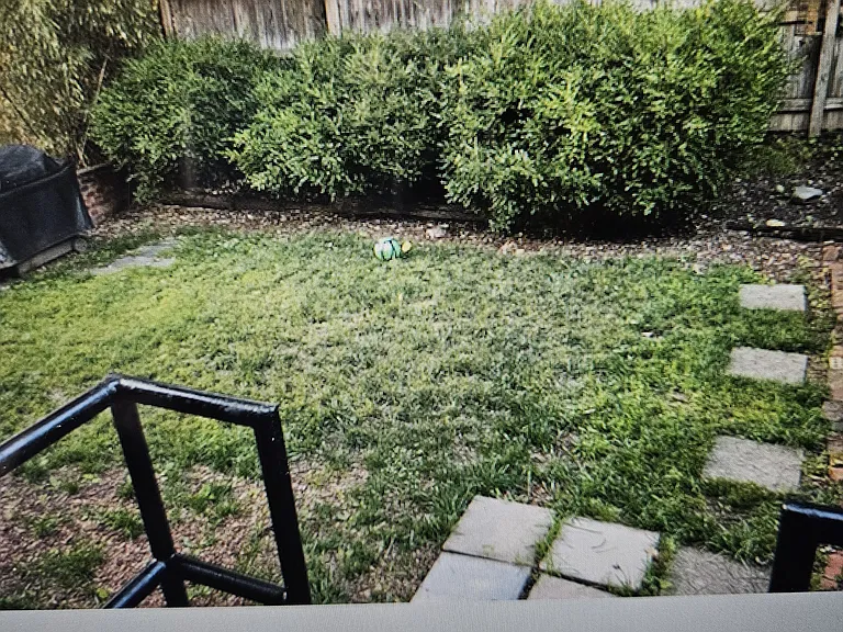 311 Jefferson St — Photo 12