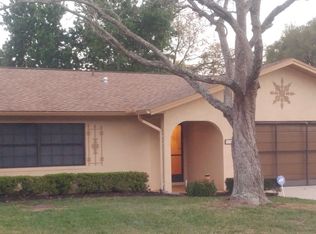 11218 Holbrook St, Spring Hill, FL 34609