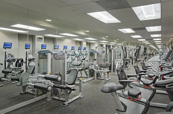 Rented by The Moinian Group | media 48