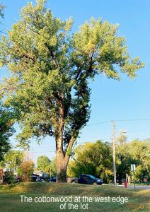 1003 10th Ave, Belle Fourche, SD, 57717