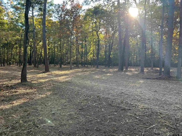 2021 County Road 3540, Hawkins, TX 75765