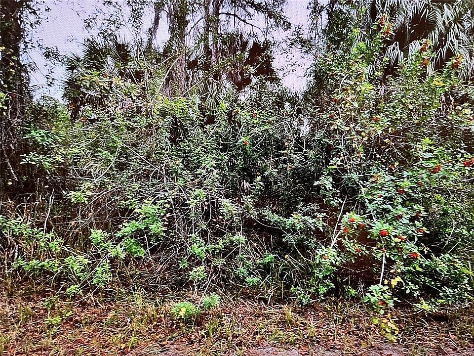 2nd image of LOT 24 CAMPBELL STREET LOT 24
