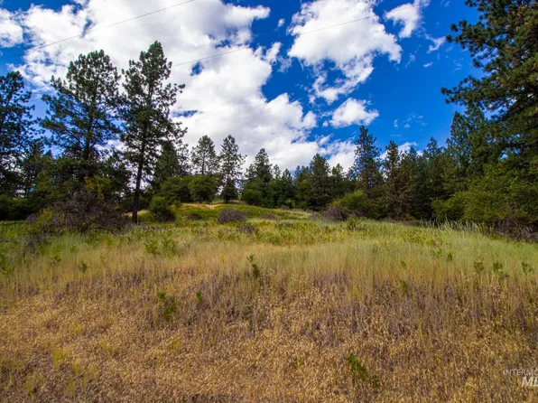 0 Whitetail Dr, Ahsahka, ID 83520