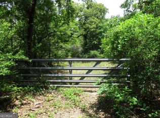 0 Stewart Rd, Cuthbert, GA 39840