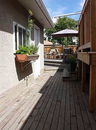 Back Deck