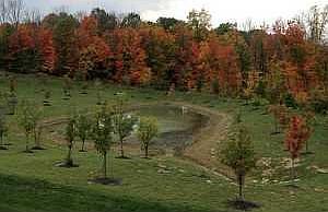 4th image of 4161 Wyandotte Woods Blvd