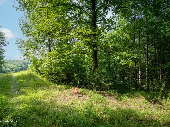 189 Henry Moss Ln Lot 16, Marble, NC 28905