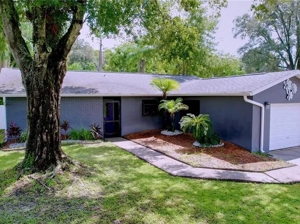 13917 Pathfinder Dr, Tampa, FL 33625