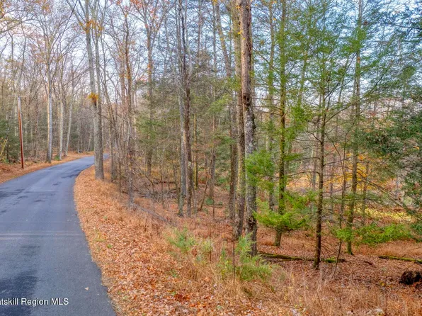 Tbd Cherry Hill Lot #1 Road, Stone Ridge, NY 12484