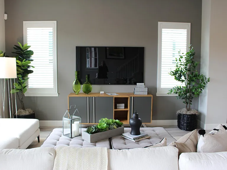 Great Room (TV not real)