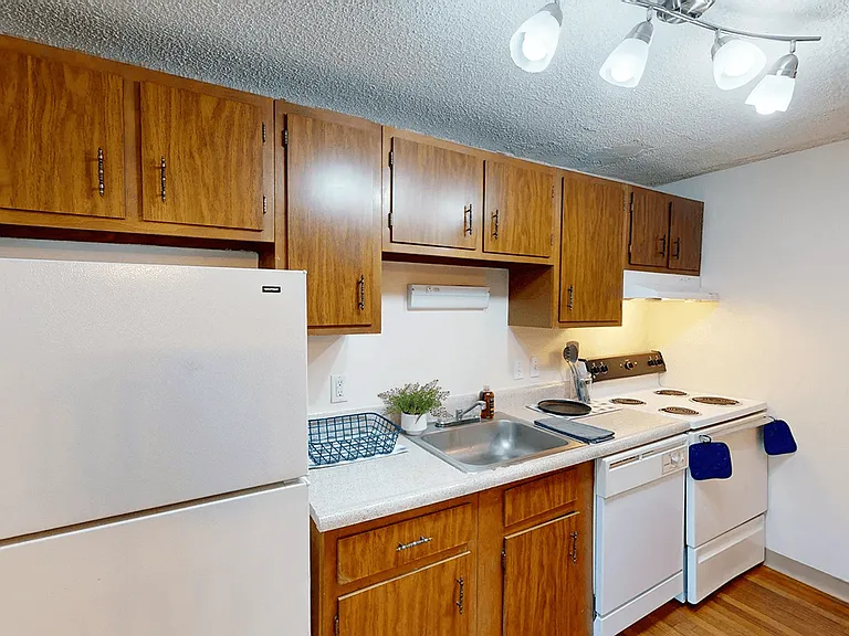 Brushed Nickel Lighting Fixtures Brighten the Space