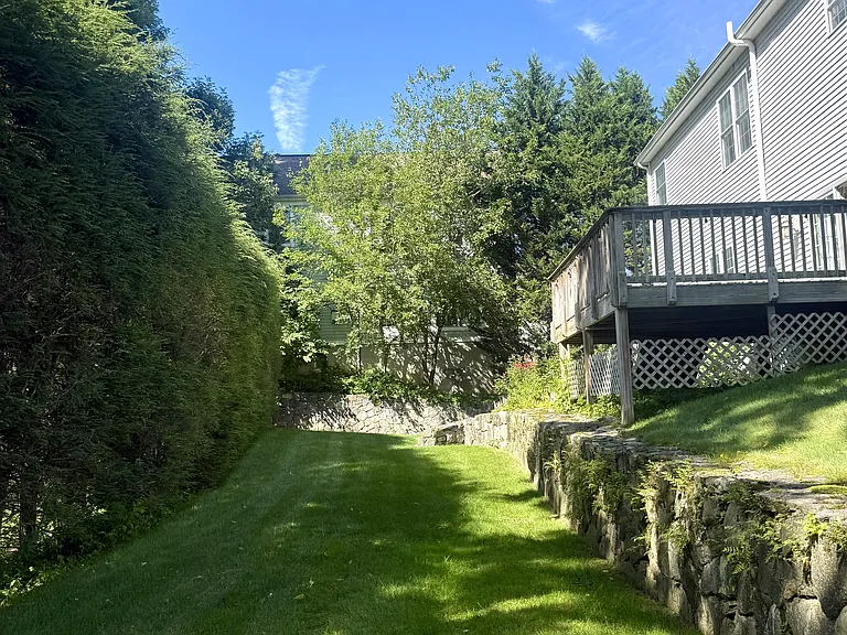 back yard