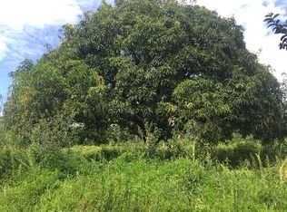 14th Ave LOT 480, Keaau, HI 96749