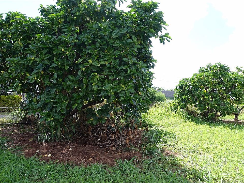 2nd image of Kaokolo Pl Lot 3