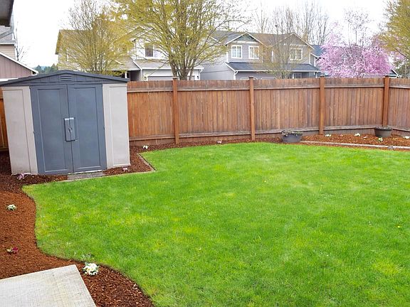 Backyard with shed
