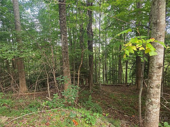 4th image of Lot 111R Powder Horn Estates Drive