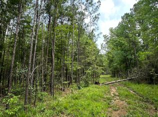 73 Pelahatchie Rd, Pelahatchie, MS 39145