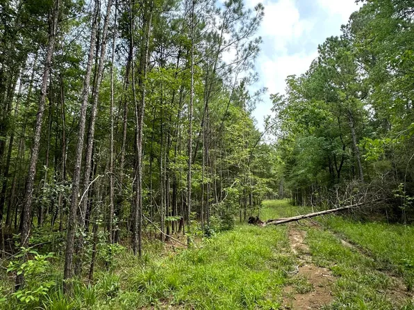 73 Pelahatchie Rd, Pelahatchie, MS 39145