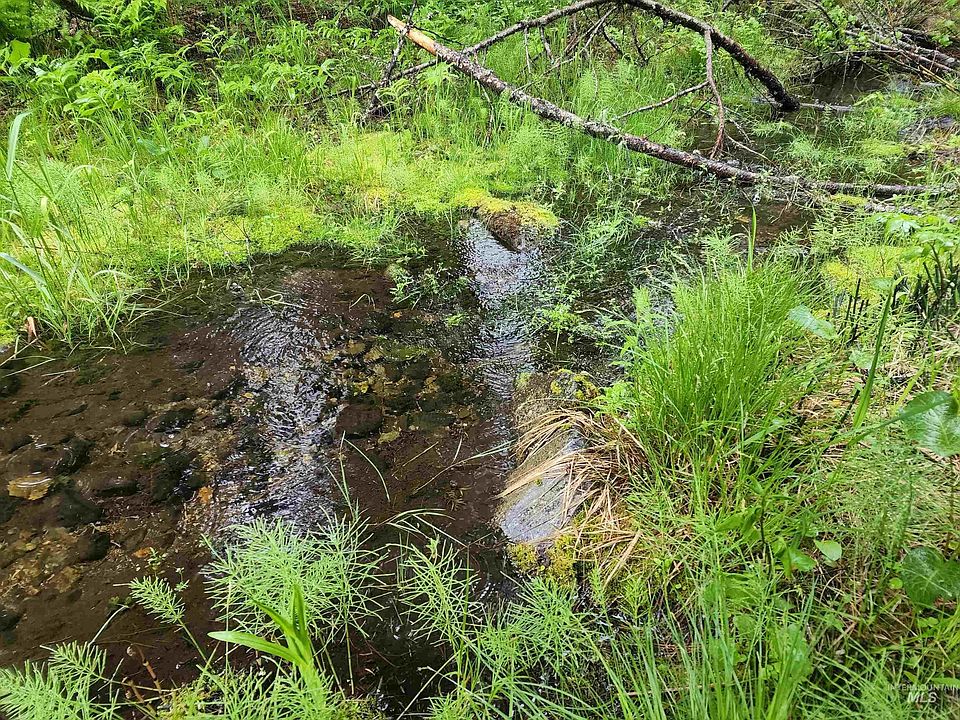 LOT 42 Hillman Basin Rd, New Meadows, ID 83654 Zillow
