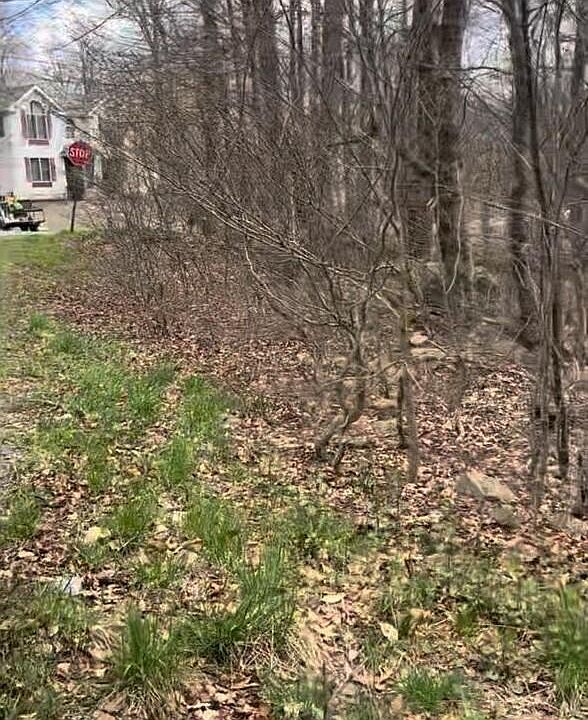 2nd image of Stony Hollow Dr #608