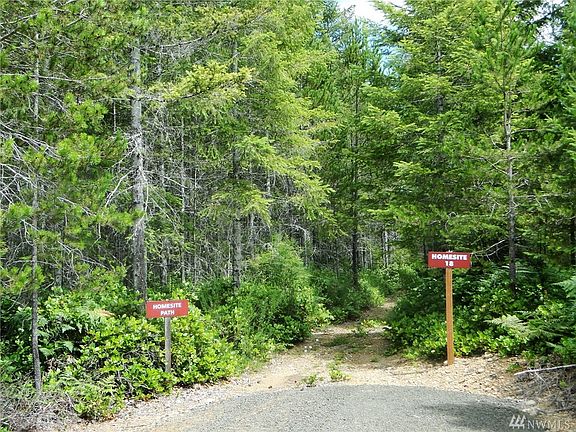 5th image of 18 Lake Cushman Forest Reserve